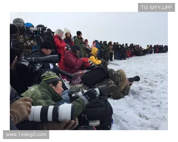 大乐透17011期开奖结果揭晓：幸运号码震撼出炉
